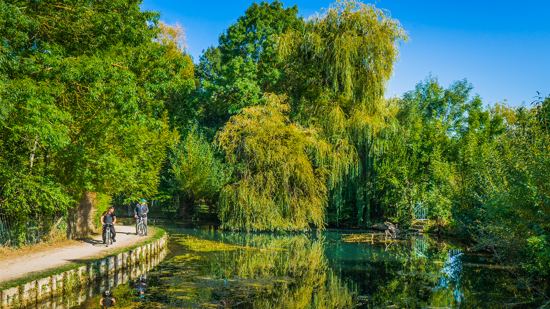 Photo dans les marais de Bourges, incontournable dans la région