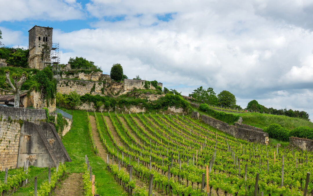 À la découverte des vins du Berry : traditions et saveurs authentiques